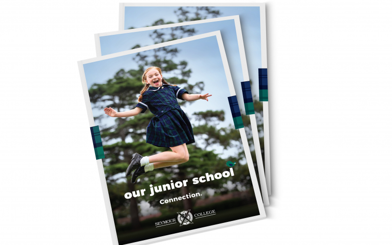 SEY Junior School Brochure Mockup