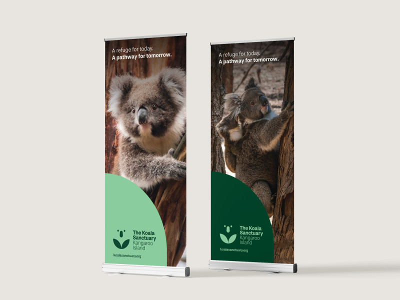 MW Website Content Koala Sanctuary 2