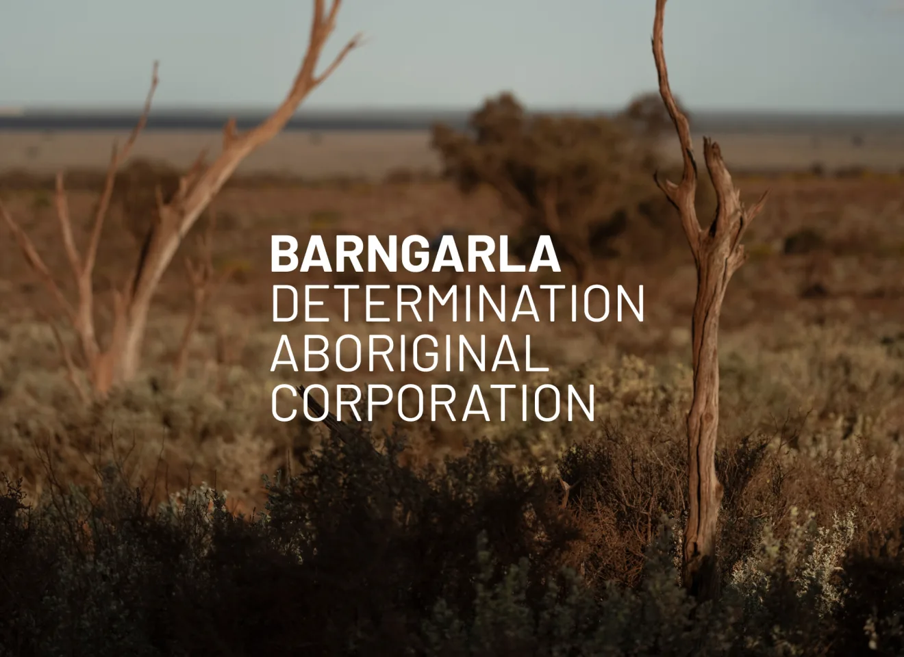 MW Website Content Barngala 1