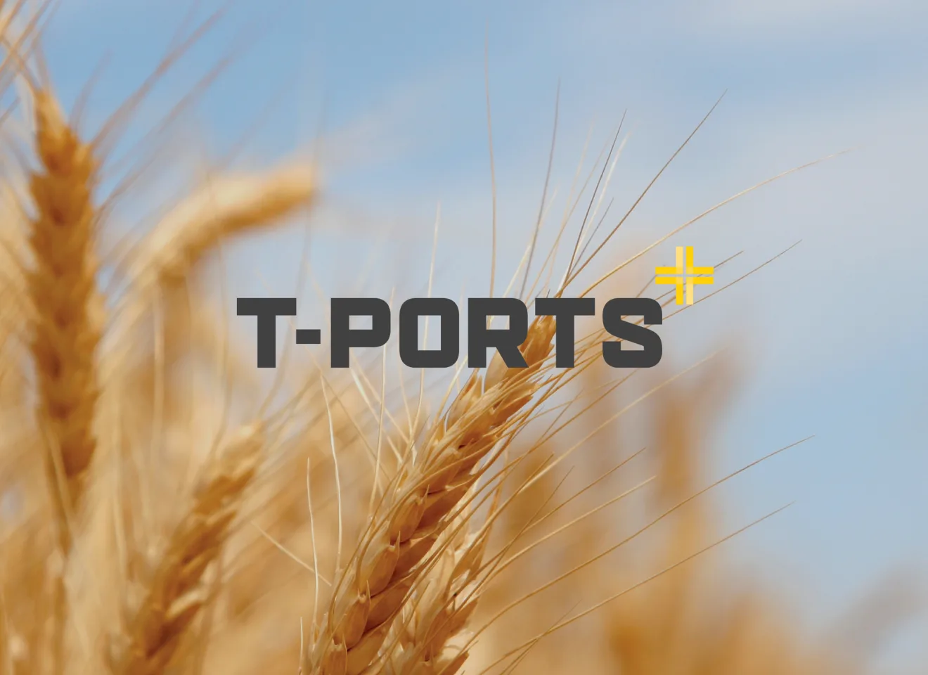 MW Website Content Tports 1
